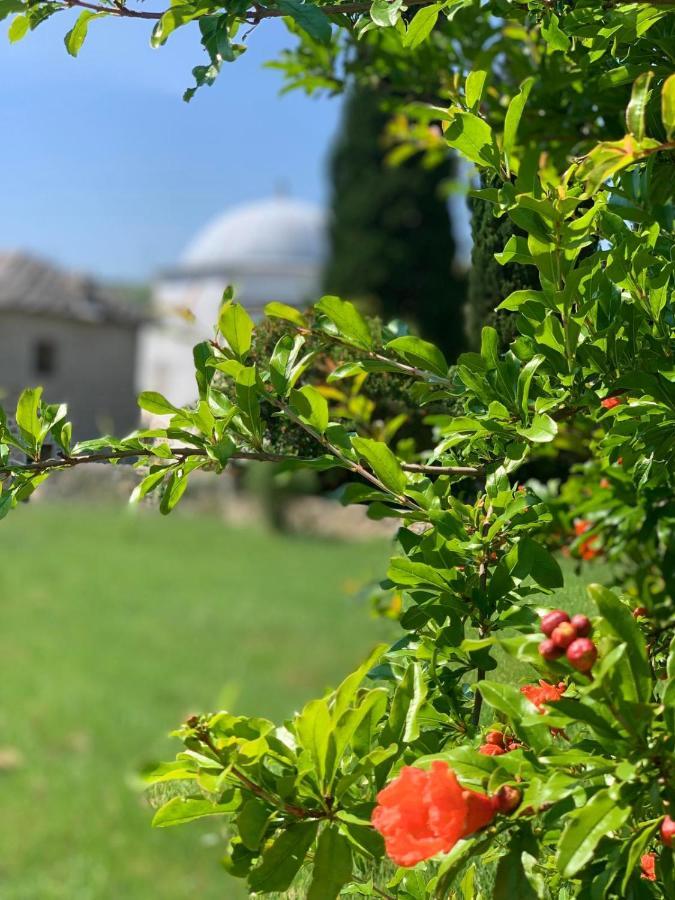 Villa Buna Zewnętrze zdjęcie